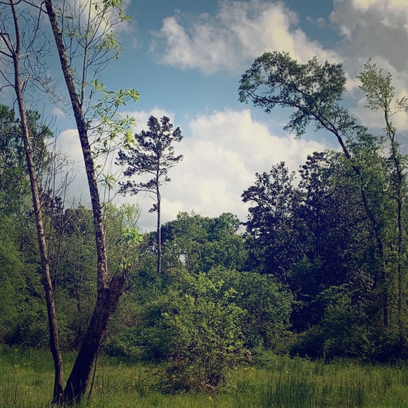 Meet your Posher, Zachary - Picture 1 of 3